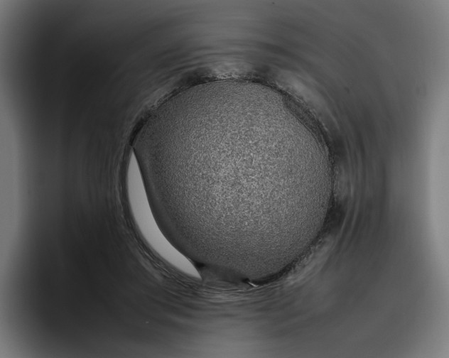 X0000096700405200802191452