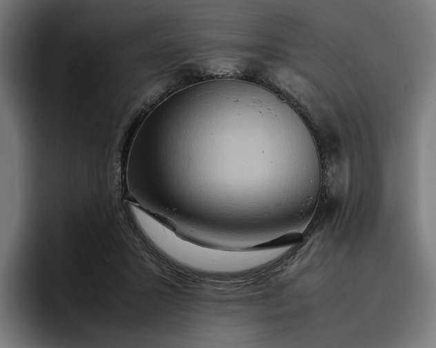 X0000096700407200802191452