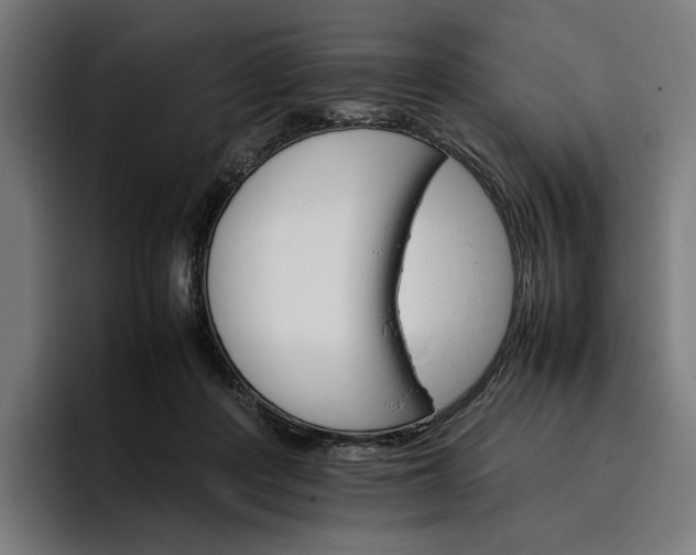 X0000096700408200802191452
