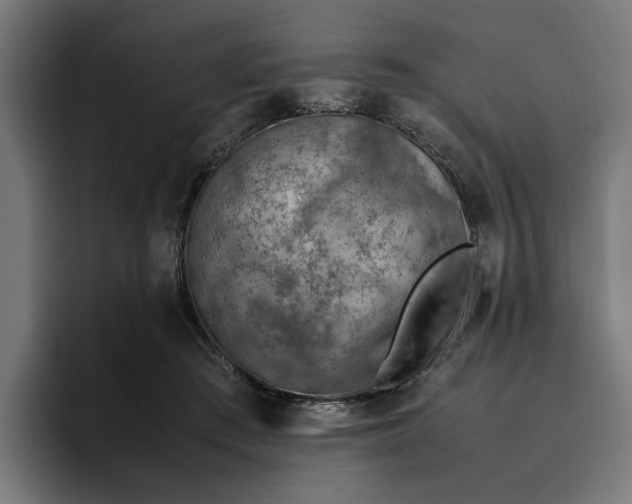 X0000096700409200802191452