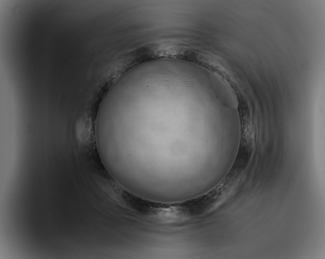 X0000096700411200802191452