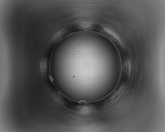 X0000096700412200802191452