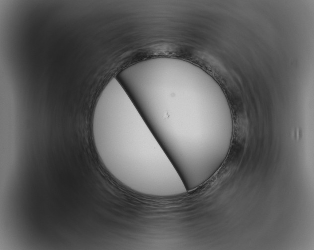 X0000096700413200802191452