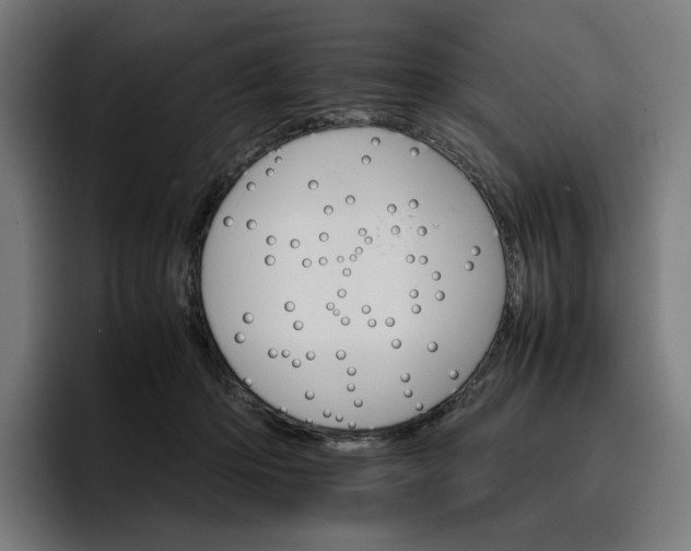 X0000096700414200802191452