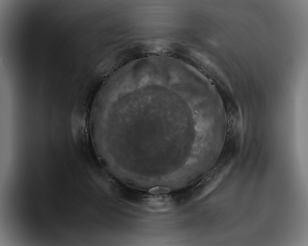 X0000096700415200802191452