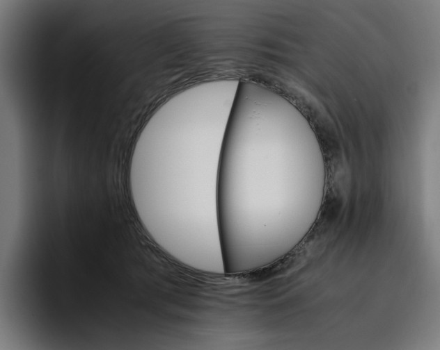 X0000096700417200802191452