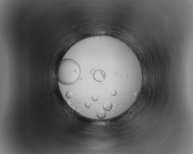 X0000096700418200802191452