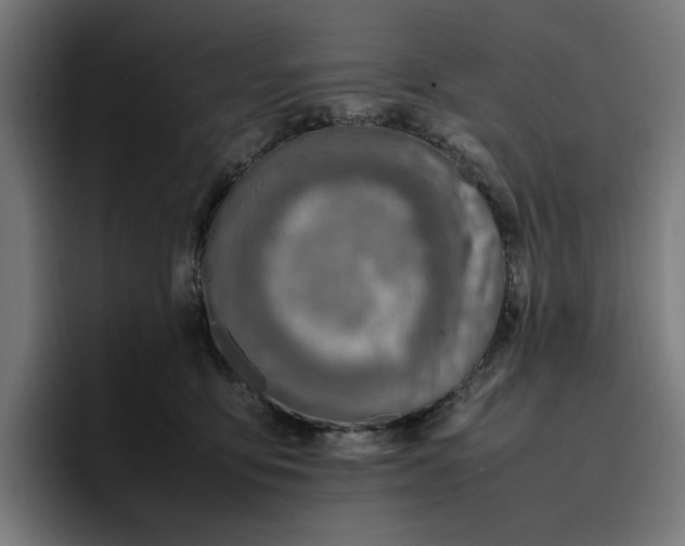 X0000096700419200802191452