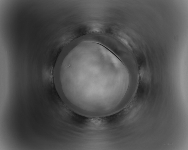 X0000096700423200802191452