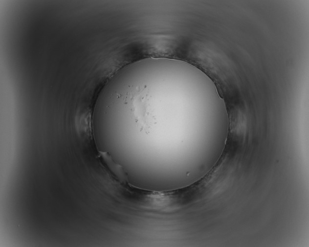 X0000096700425200802191452
