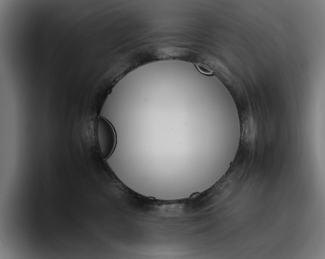 X0000096700426200802191452