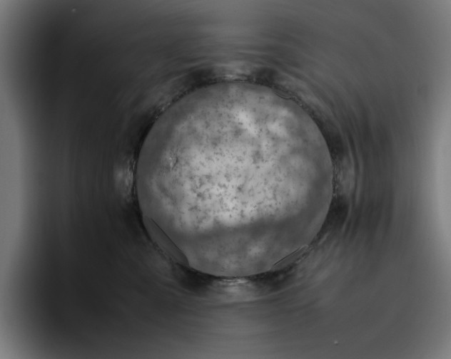 X0000096700427200802191452