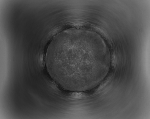 X0000096700428200802191452