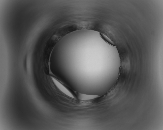 X0000096700429200802191452