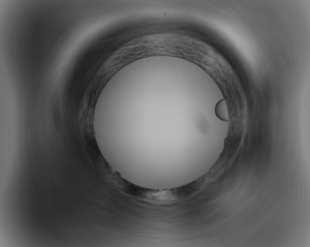 X0000096700431200802191452