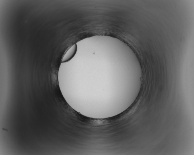 X0000096700432200802191452