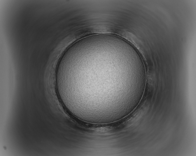 X0000096700433200802191451