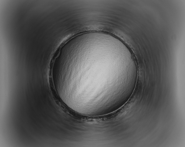 X0000096700434200802191451