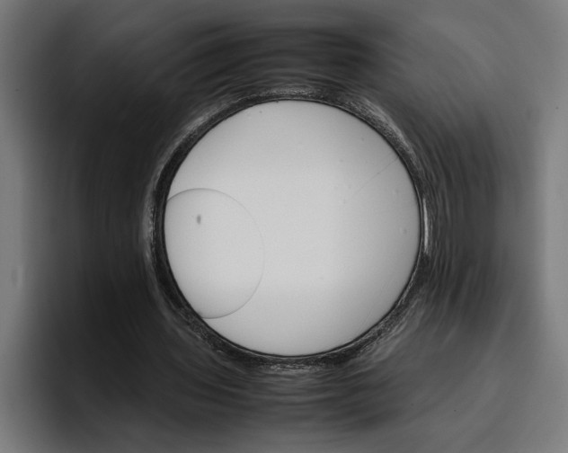 X0000096700435200802191451