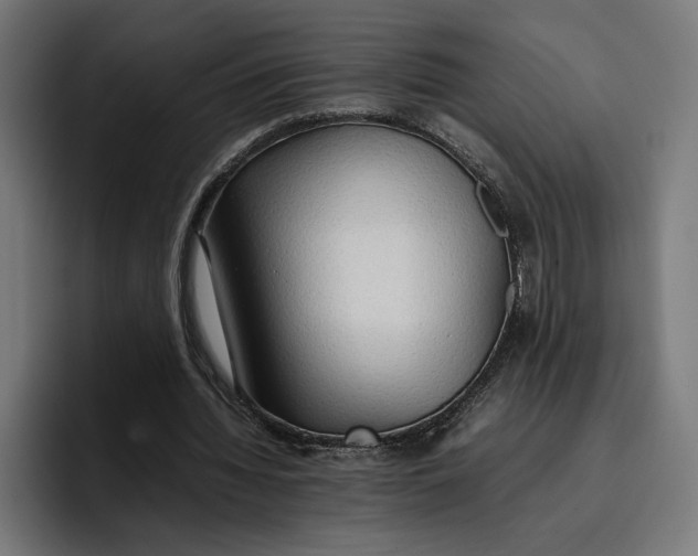 X0000096700436200802191451