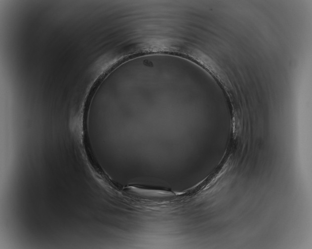 X0000096700438200802191451