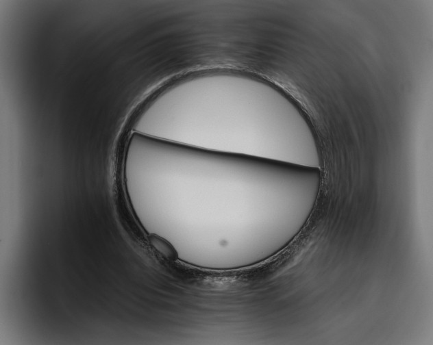X0000096700440200802191451
