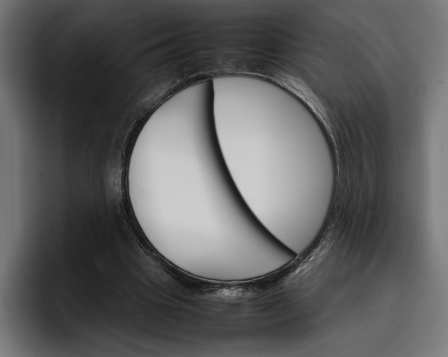 X0000096700441200802191451
