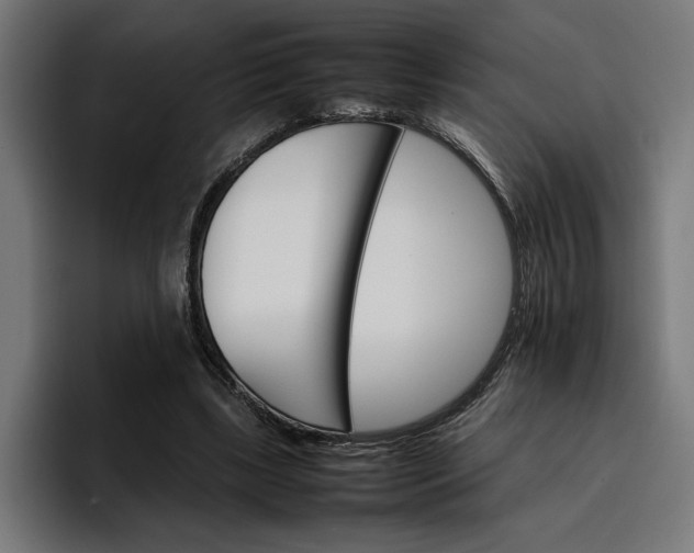 X0000096700443200802191451