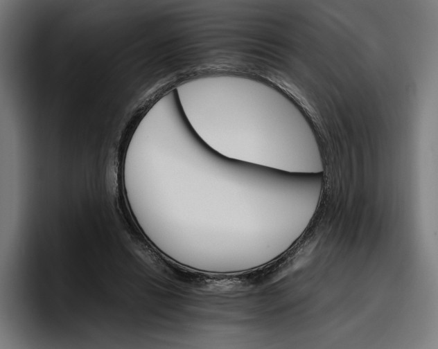 X0000096700446200802191451