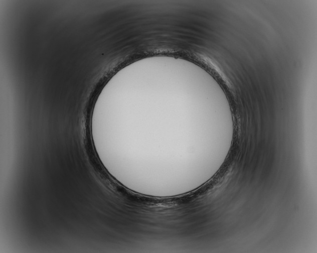X0000096700447200802191451