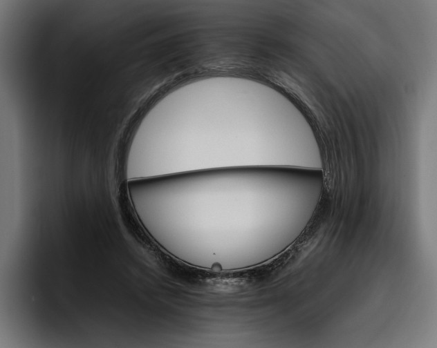 X0000096700448200802191451