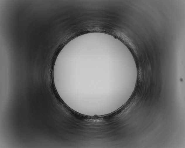 X0000096700449200802191451