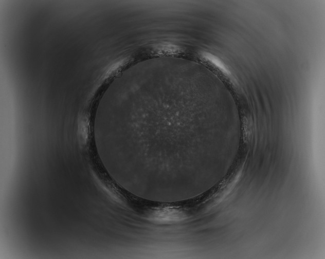 X0000096700451200802191451