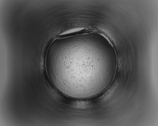 X0000096700453200802191451