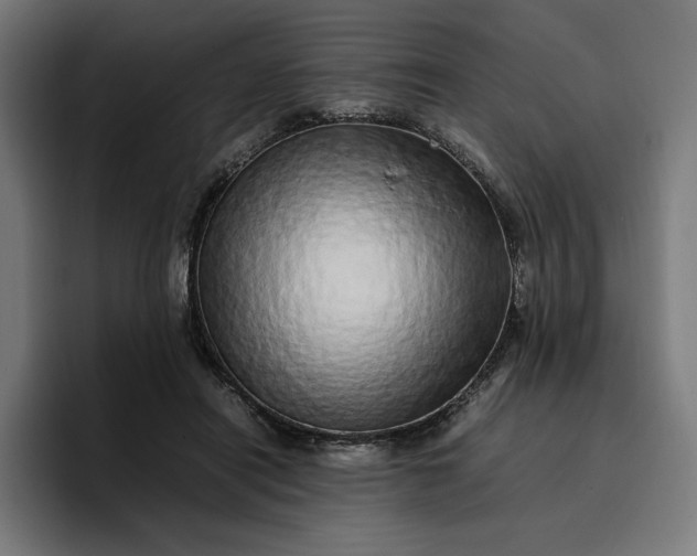 X0000096700454200802191451