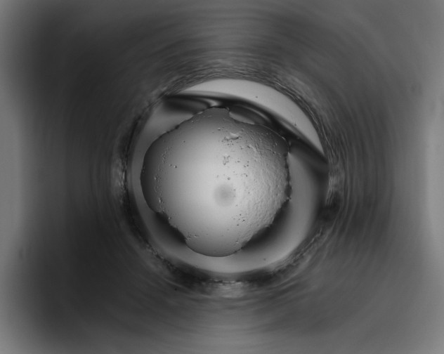 X0000096700456200802191451