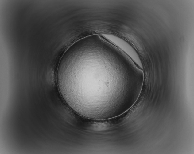 X0000096700457200802191451