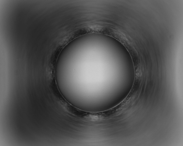 X0000096700464200802191452
