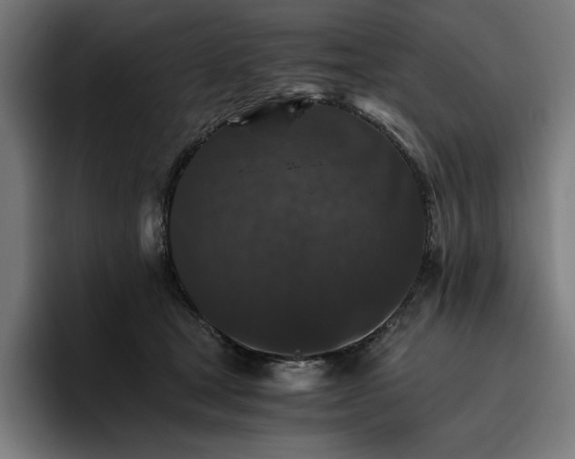 X0000096700465200802191452