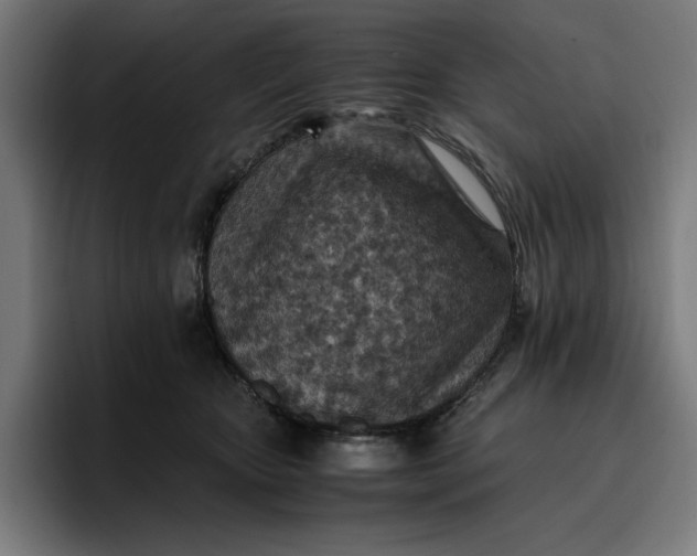 X0000096700467200802191452