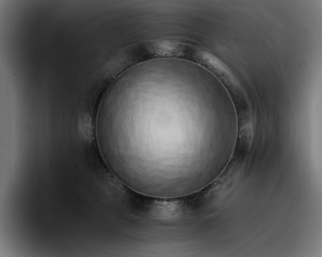 X0000096700469200802191452