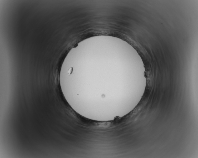 X0000096700474200802191452