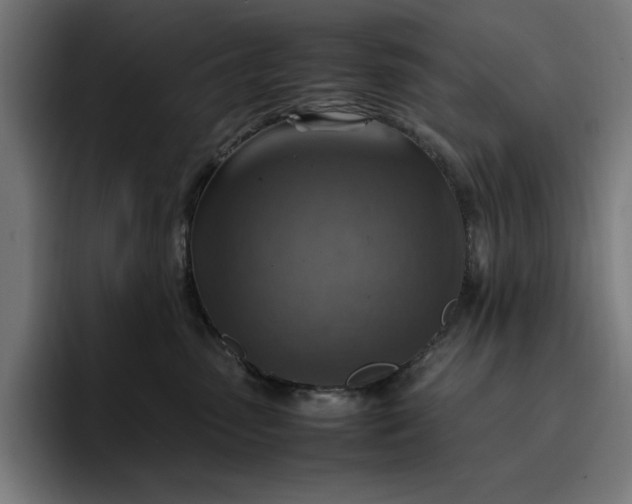 X0000096700475200802191452
