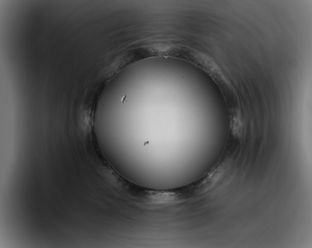 X0000096700476200802191452