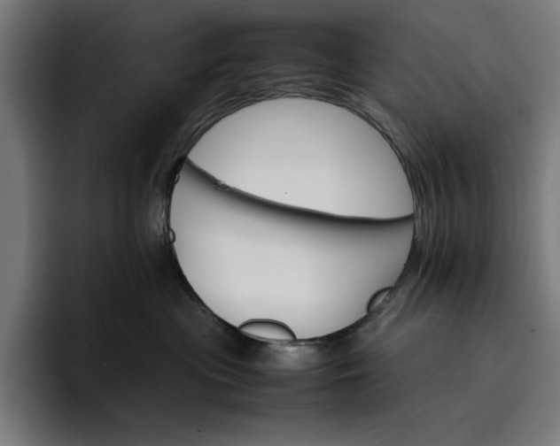 X0000096700477200802191452
