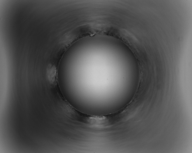 X0000096700480200802191452
