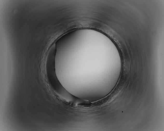 X0000096700481200802191451