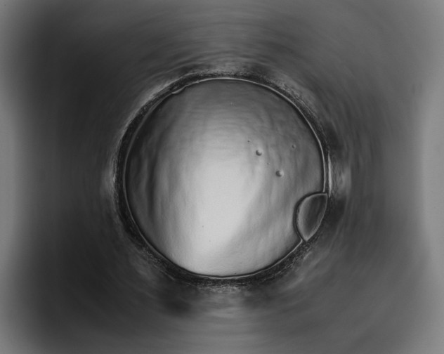 X0000096700483200802191451