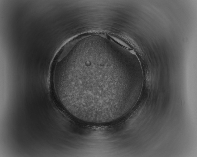 X0000096700484200802191451