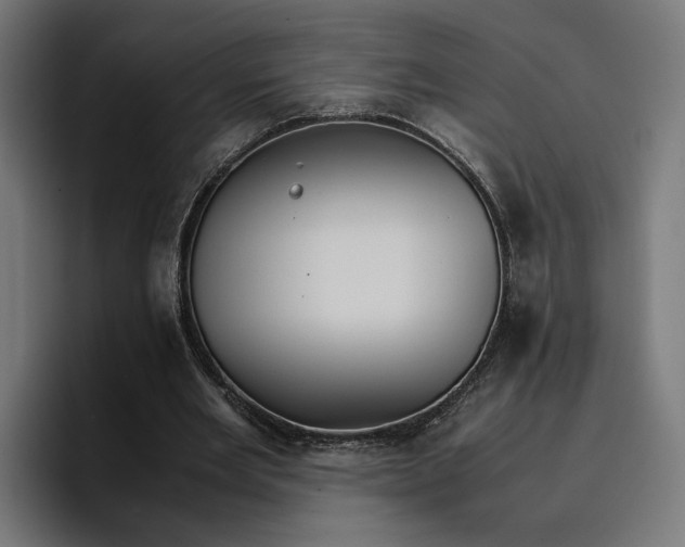 X0000096700485200802191451
